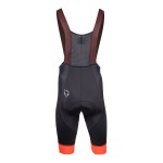 4100_1_NEWCOLORBIBSHORT